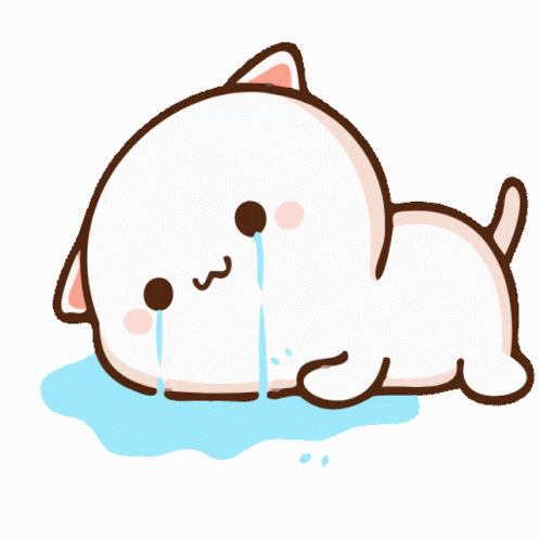 Cat GIF 2
