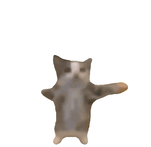 Cat GIF 1
